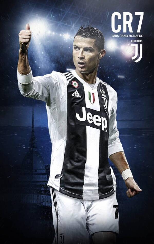 森林狼的年 森林狼的年