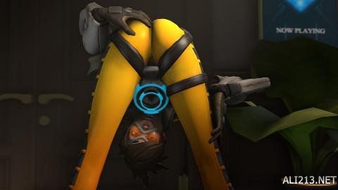 是他最大的 是他最大的